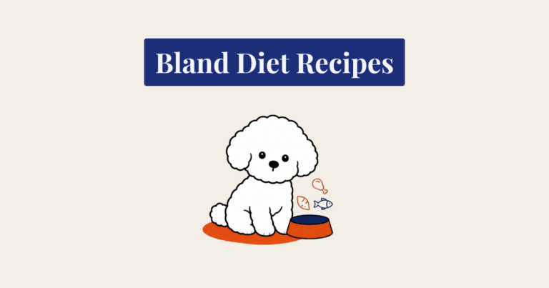 A minimalist cartoon illustration of a white Bichon Frise dog with curly fur sitting next to a burnt-orange food bowl. The dog is positioned on a matching burnt-orange oval mat against a cream background. To the left of the bowl, there are small, simple line-art icons of a chicken drumstick, a fish, and a sweet potato.