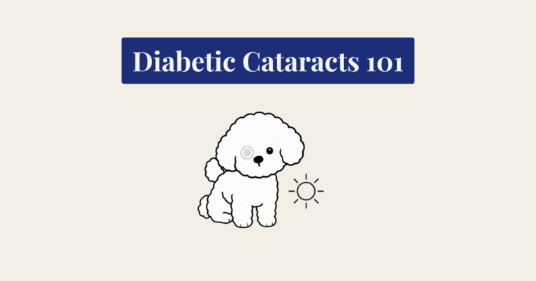 A minimalist vector illustration of a white Bichon Frise dog against a cream background. One eye has a soft gray outline, and an icon of a navy sun with a burnt-orange center is to the right.