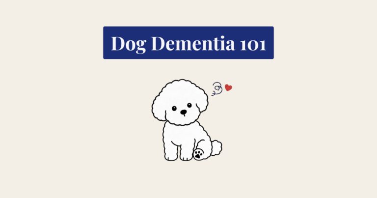 A minimalist vector illustration of a seated white Bichon Frise dog against a light cream background. To its upper right is a decorative dark blue swirl and a small red heart. The dog's right side features a visible paw print. All elements are rendered in clean, flat 2D outlines.