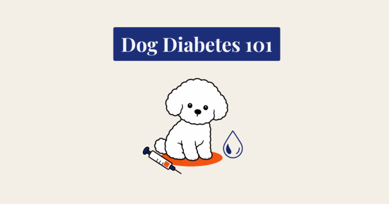 Minimalist vector illustration titled 'Dog Diabetes 101' on a cream background, featuring a seated white fluffy dog next to a used insulin syringe and a blood drop icon.