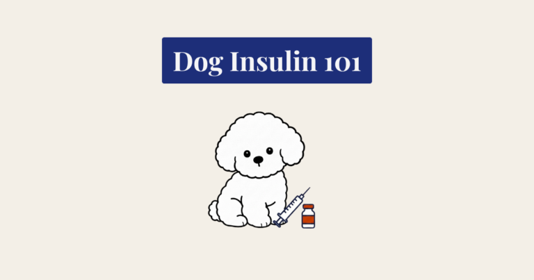 A minimalist vector illustration of a fluffy white Bichon Frise dog sitting and facing forward against a light cream background. To the lower right of the dog is a line-art icon of a medical syringe and a small, capped vial.