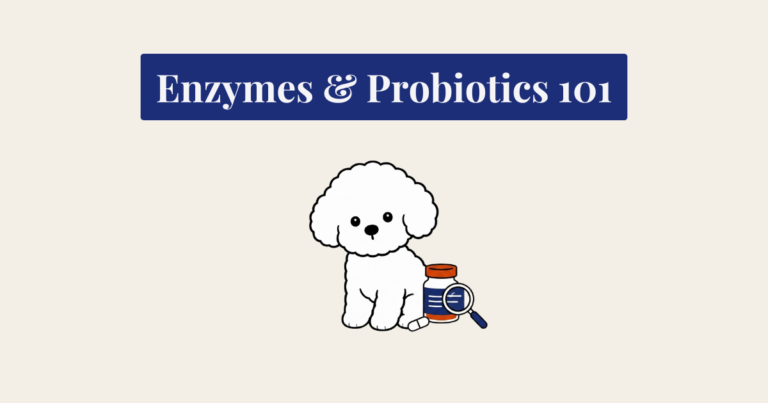 A minimalist cartoon illustration of a fluffy white Bichon Frise dog sitting on a light cream background. To the right of the dog is a small medicine bottle with an orange cap and a blue label, with a single white pill at its base. A navy blue-handled magnifying glass is positioned in front of the bottle, focused on the label.