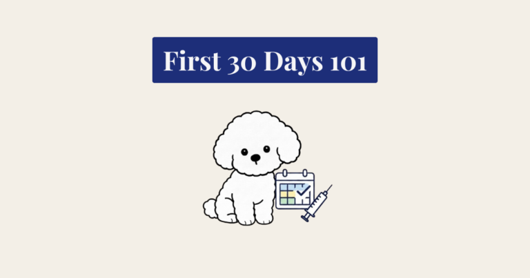 A minimalist vector illustration of a seated white Bichon Frise. To its right is a calendar icon with a checkmark and a medical syringe.