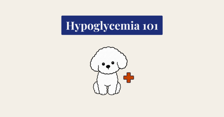 A minimalist vector illustration of a seated white Bichon Frise dog against a light cream background. To the lower right is a simple, burnt-orange medical cross icon with a dark outline.