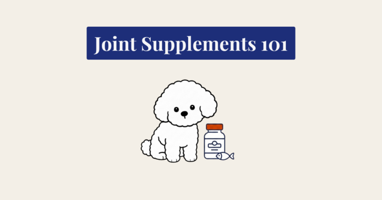 A minimalist vector illustration of a seated white Bichon Frise dog against a light cream background. To its right is a dark blue line-art icon of a pill bottle with a burnt orange cap, and a matching line-art icon of a fish.