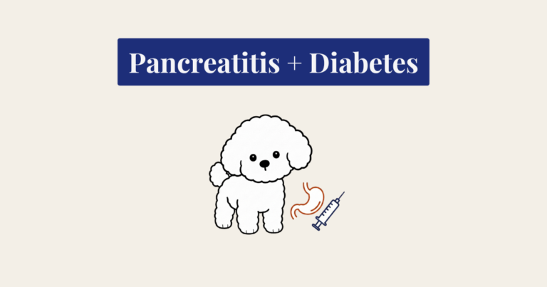 A clean, bold-line cartoon illustration of a fluffy white Bichon Frise dog, standing in an alert pose with its head slightly tilted.
