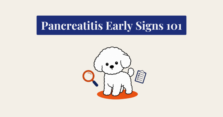 A flat vector-style cartoon illustration of a small, fluffy white Bichon Frise dog standing in an alert, listening pose. To the left of the dog is an orange and navy blue magnifying glass, and to the right is a small checklist clipboard. The background is a solid cream color with a burnt orange circle underneath the dog. The style features bold black outlines and flat colors with no shading.