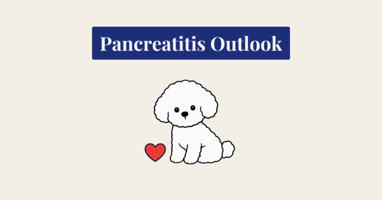 A minimalist cartoon illustration of a fluffy white Bichon Frise dog with curly fur, sitting and facing forward against a light cream background. To the lower left of the dog is a simple, solid red heart icon with a dark outline.