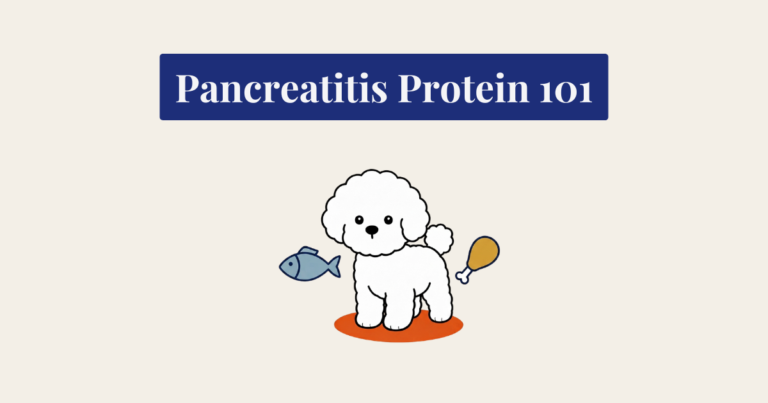 A clean vector-style illustration on a cream background, featuring a cute, fluffy white Bichon Frise puppy standing on an orange oval mat. To the left of the puppy is a blue fish icon, and to the right is a brown chicken drumstick icon.