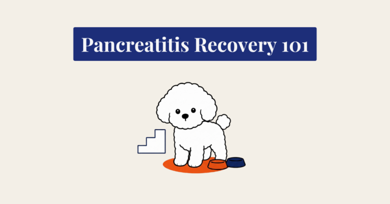 A minimalist vector cartoon illustration of a standing white Bichon Frise dog with curly fur, looking forward. To its left is a navy-blue line-art icon of a three-step ascending staircase. The dog stands on a burnt-orange oval mat, with a burnt-orange food bowl and a navy-blue food bowl placed side-by-side to its right. The background is a solid light cream color.