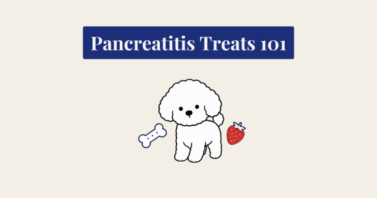 A cute, stylized cartoon illustration of a small fluffy white Bichon Frise standing in an alert pose. Beside the dog is a line-art style dog bone and a red strawberry. At the top, there is a navy blue rectangular banner with the text 'Pancreatitis Treats 101'.