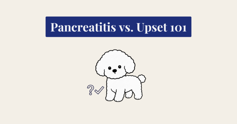 A minimalist vector illustration of a fluffy white Bichon Frise dog standing with a slight head tilt against a cream-colored background. To the lower left of the dog are two simple, deep navy blue line-art icons: a question mark and a checkmark side by side.