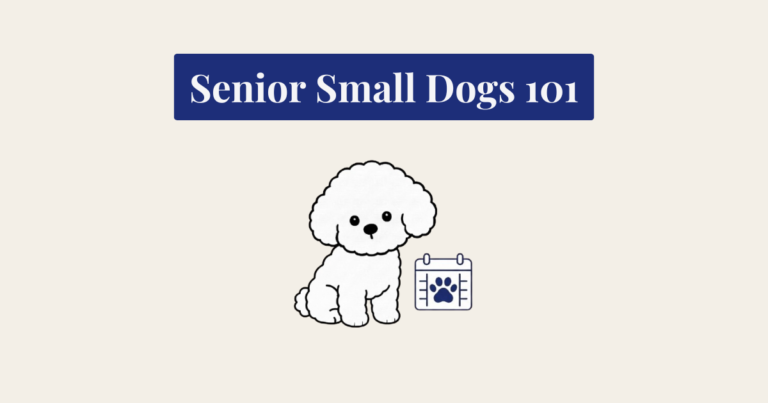 A minimalist vector illustration of a seated white Bichon Frise dog against a light cream background. To the lower right of the dog is a dark blue line-art icon of a calendar with a dark blue paw print on its page.