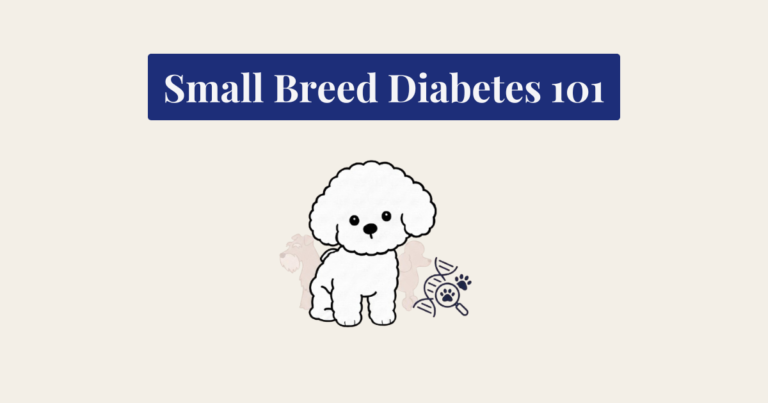 Cartoon illustration of a Bichon Frise with faint outlines of other breeds behind it, accompanied by a DNA and paw print icon on a cream background.