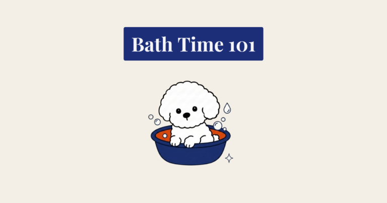 A flat vector cartoon illustration of a small, fluffy white Bichon Frise sitting happily inside a round, navy blue and burnt orange bathtub against a cream-colored background, surrounded by small soap bubbles and a water droplet icon. Above the illustration, a rectangular deep navy blue text box contains the white text "Bath Time 101"