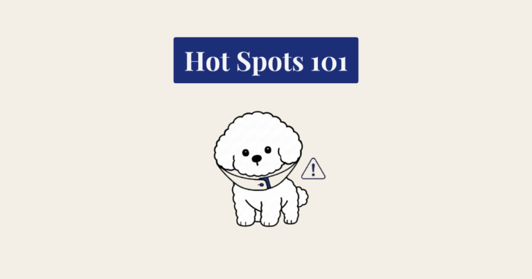 A minimalist infographic for 'Hot Spots 101' featuring an illustration of a fluffy white dog in a medical cone.