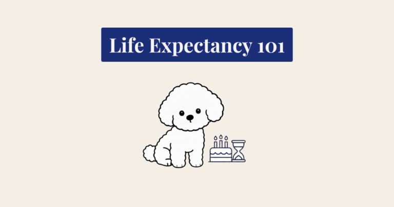 A bold line cartoon illustration of a small, fluffy white Bichon Frise sitting in a dignified pose next to a burnt birthday cake with candles and a hourglass, set against a clean cream-colored background.