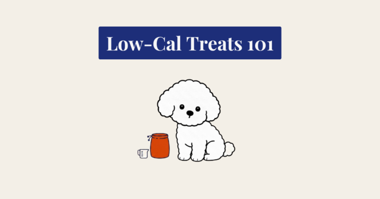 A minimalist vector illustration in a bold-line cartoon style, featuring a seated white curly Bichon Frise dog with minimal facial features. To the right of the dog is a cylindrical burnt orange treat pouch with a navy blue drawstring, and next to it is a small navy blue measuring cup icon. The entire composition is centered on a textured cream background, with a small, subtle sparkle element.