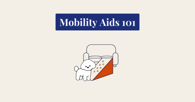 A minimalist vector illustration of a white, curly Bichon Frise dog standing next to a dark blue outline of a couch. A burnt orange and cream ramp with a trail of dark orange paw prints leads from the floor up to the couch. The image is centered on a textured cream background.