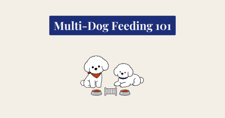 A minimalist illustration on a light beige background. At the top, a dark blue banner displays the white serif text "Multi-Dog Feeding 101". Below it, two small, fluffy white cartoon dogs sit side-by-side. The left dog sits upright wearing a red bandana, while the right dog lies down wearing a blue collar. Each has a silver food bowl in front of it, separated by a small, centered line-art gate. The style is clean and flat.