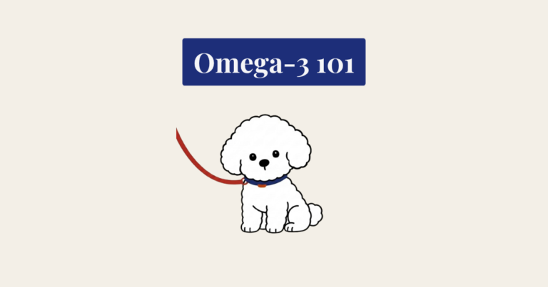 A minimalist illustration on a light beige background. At the top, a dark blue banner displays the white serif text "Omega-3 101". Below the banner, a small, fluffy white cartoon dog, resembling a Bichon Frise, sits facing forward with a blue collar and a red leash extending to the left. The overall style is clean and centered.