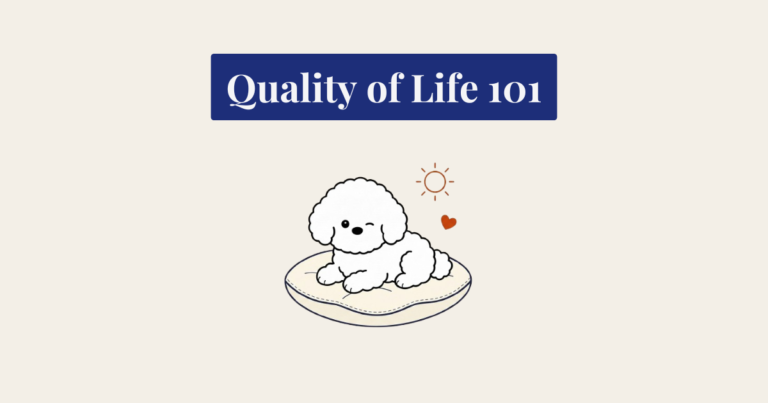 A minimalist vector illustration of a winking, fluffy white Bichon Frise dog lying on a cream cushion. To its upper right are a dark orange sun outline and heart icon. The image is centered on a cream background with a small sparkle.