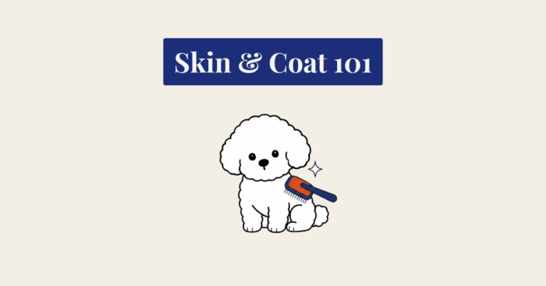 Cartoon illustration of a white dog being brushed with a slicker brush against a cream background, with text above reading 'Skin & Coat 101'.