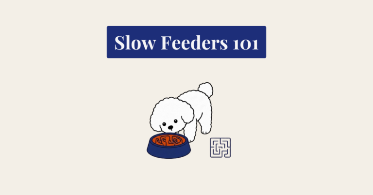 A minimalist illustration on a cream background, featuring a navy blue banner at the top with the white serif text "Slow Feeders 101". Below the banner is a small, fluffy white cartoon dog, resembling a Bichon Frise, with its head bowed, eating from a navy blue slow feeder bowl containing an orange maze-like insert. To the right of the bowl is a small, square, navy blue outline of a maze.