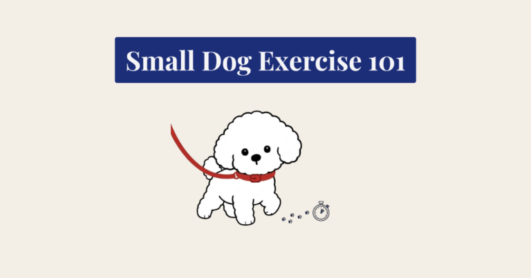 A clean, minimalist vector illustration of a fluffy white Bichon Frise dog wearing a red collar. The dog is in a walking pose, with a red leash extending from its collar off-frame to the left. A trail of small, dark blue paw prints leads from the dog towards a detailed dark blue stopwatch icon in the lower right. The composition is centered on a textured cream-colored background with a subtle sparkle element.