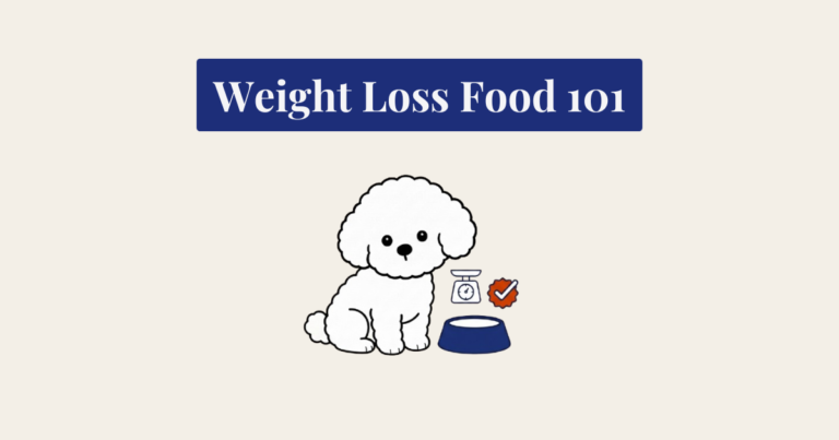 A clean, bold-line vector illustration of a fluffy white Bichon Frise sitting down and looking forward. To its right are three icons: a dark navy blue food bowl, a white outline kitchen scale above it, and a red and dark navy blue 'verified' checkmark badge. The background is a textured cream color.