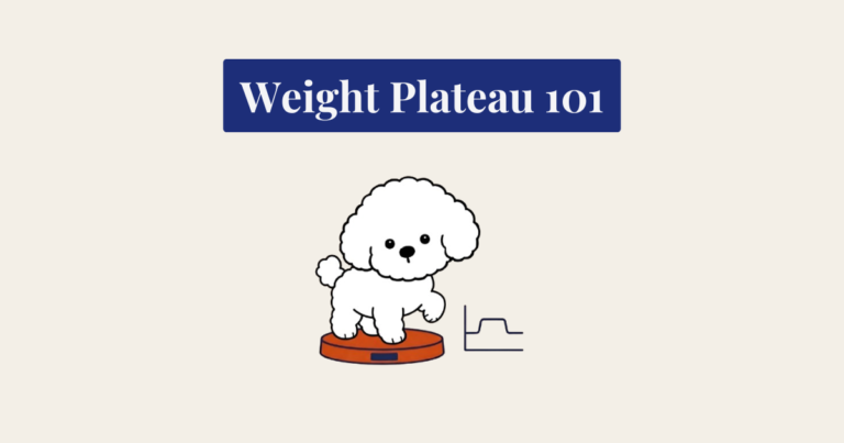 A cute illustration for Weight Plateau 101 featuring a fluffy white dog standing on an orange scale, with a line graph icon next to it on a cream background.