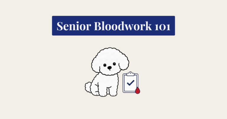 A minimalist vector illustration of a seated white Bichon Frise dog on a textured cream background. To its right is a dark navy blue line-art clipboard containing a matching dark blue checkmark, with an orange blood drop icon at the bottom right.