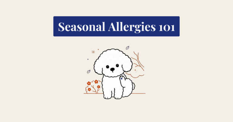 A minimalist illustration of a white, fluffy Bichon Frise-like dog sitting and scratching its face with a hind paw. Minimalist line-art drawings of allergy triggers surround the dog: a bush with flowers, branches, leaves, and pollen particles. Above the illustration, a dark blue box contains the white text "Seasonal Allergies 101". The entire image is set against a plain cream-colored background.