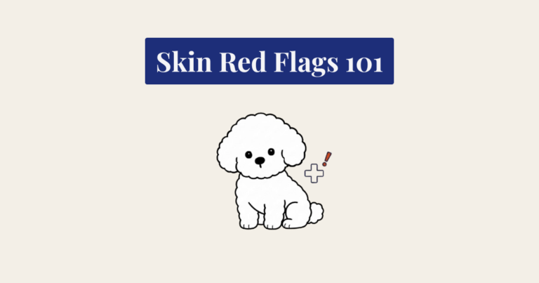 A vector illustration with the navy banner title "Skin Red Flags 101" above a cute, fluffy white Bichon Frise with a medical cross and exclamation icon.